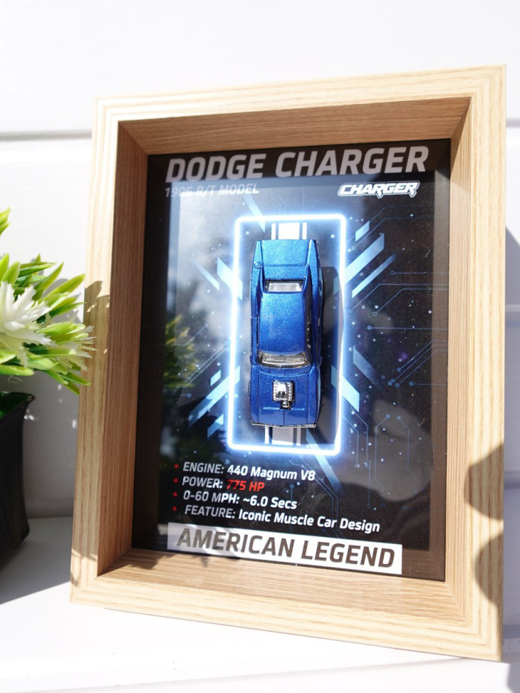 Demanded Item: Premium 3D Car Frame & Surprise Gift Combo