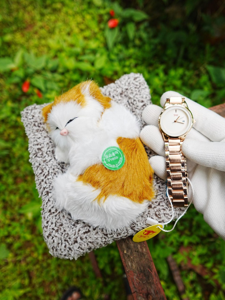 Trending Special Combo - Premium Girls' Chain Watch with a Sleeping Cat Toy