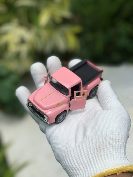 TQ65-Pink
